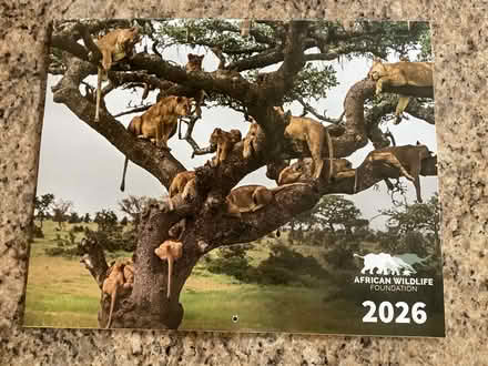 Photo of free 2026 Wall Calendar-African Wildlife (Laurel Avenue/Takolusa Dr.) #1