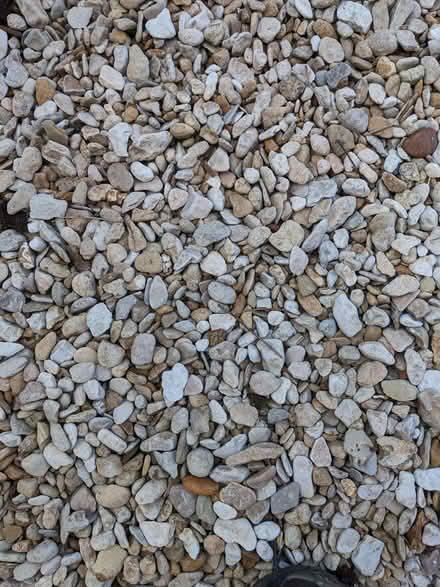 Photo of free Golden gravel - largish stones (Hazlemere HP15) #1
