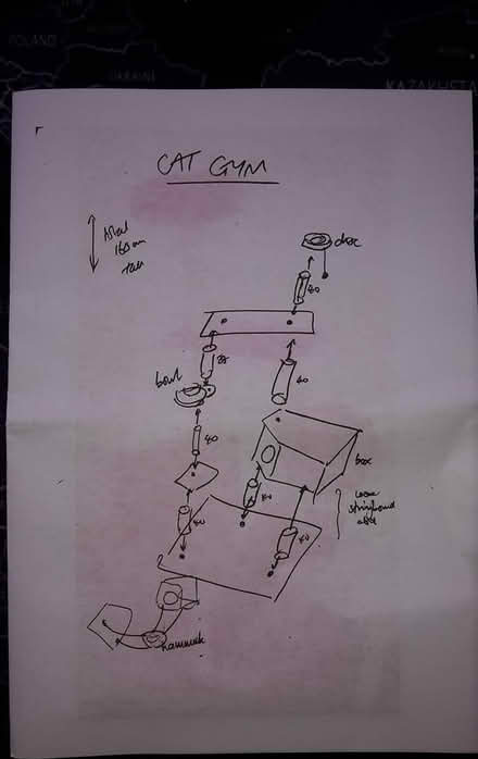 Photo of free Cat Gym (Queenstown, near MRT) #4