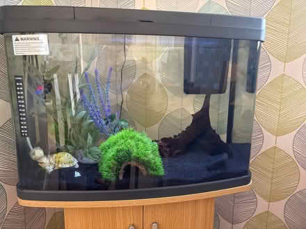 Photo of free Fish tank and cabinet (Gornhay Cross EX16) #2