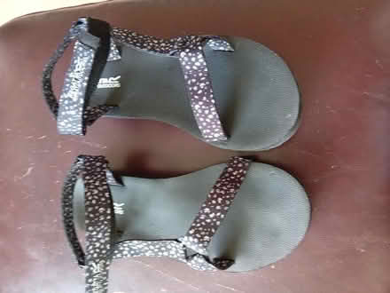 Photo of free Ladies size 7 (Chelmsford CM2) #1
