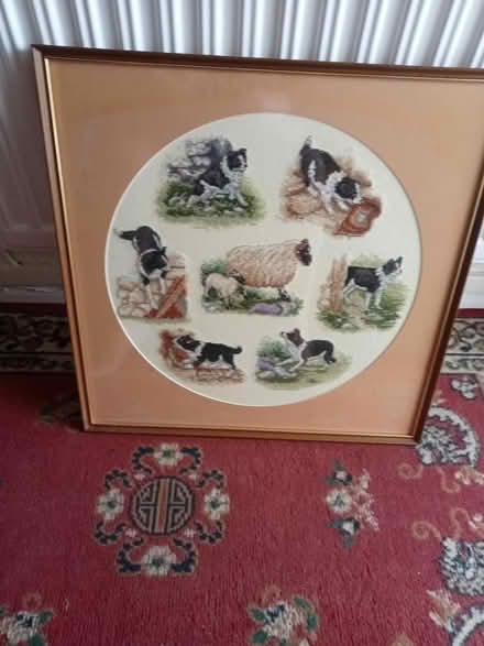 Photo of free Border Collie X-Stitch Picture (Lower Broadheath, WR2 6QS) #1