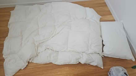 Photo of free 2 Duvets and 1 Pillow (Mill Road) #2