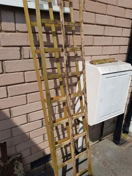 Photo of free Wooden garden trellis (Kendal LA9) #1