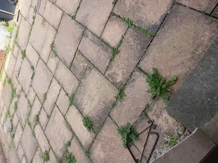 Photo of free Pathing tiles (Fraserburgh) #1