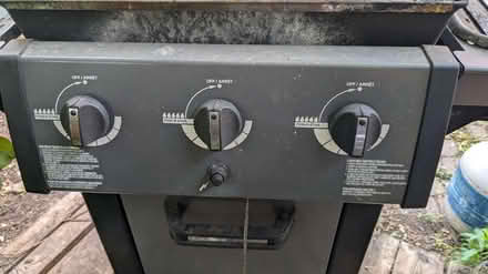 Photo of free BBQ (Weston) #4
