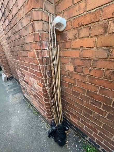 Photo of free Garden canes bamboo canes supports (West Bridgford NG2) #1