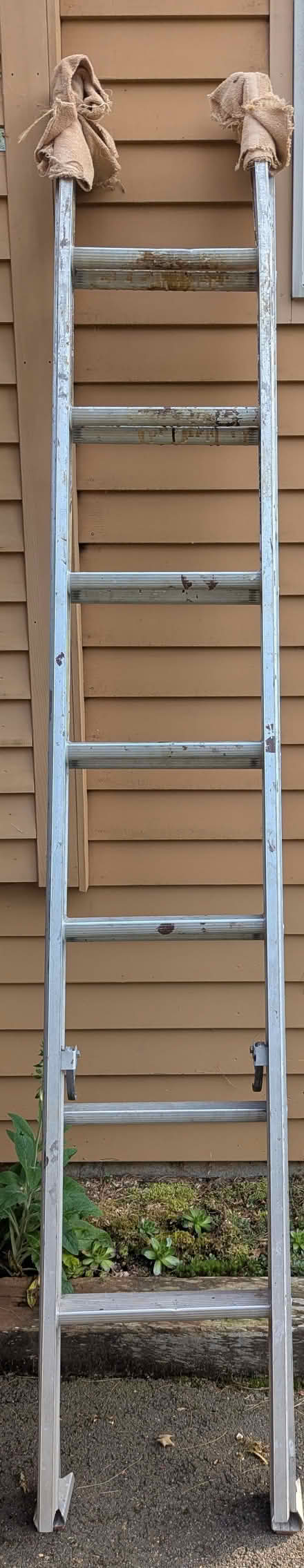 Photo of free ladder (N Leverett) #1