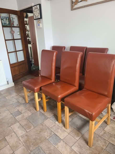 Photo of free 6 Dining Chairs (CT18) #1