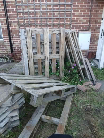 Photo of free Pallets and garden bits (Canford Heath, BH17 8) #1