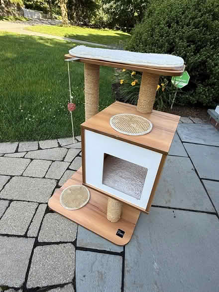 Photo of free Cat tree (Belmont) #1