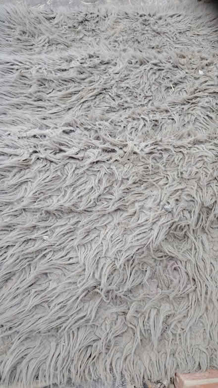 Photo of free Grey fur rug (Sheffield) #1