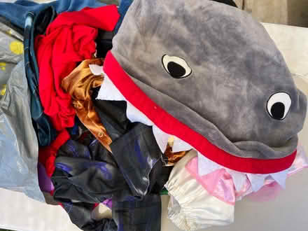Photo of free Mixed Bag of Kids Costumes (San Jose Hillsdale near Ross) #1