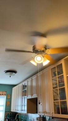 Photo of free 42" dia. brown overhead fan/lights (Riverdale (north of Inwood)) #1