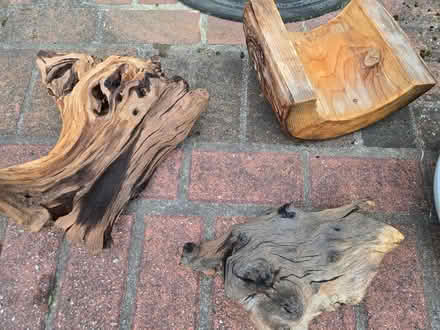 Photo of free large aquarium, reptile supplies (Natick, Ma) #2