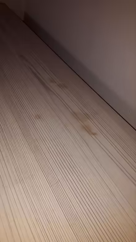 Photo of free Bookcase/Shelving (Queenstown, near MRT) #2