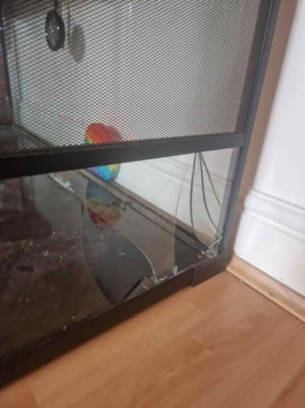 Photo of free 4ft Komodo Snake Vivarium (Sherburn in Elmet LS25) #1