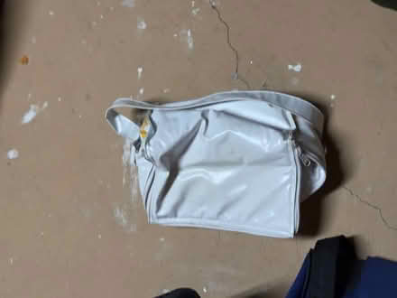 Photo of free Cooler Bag (Orleans) #1
