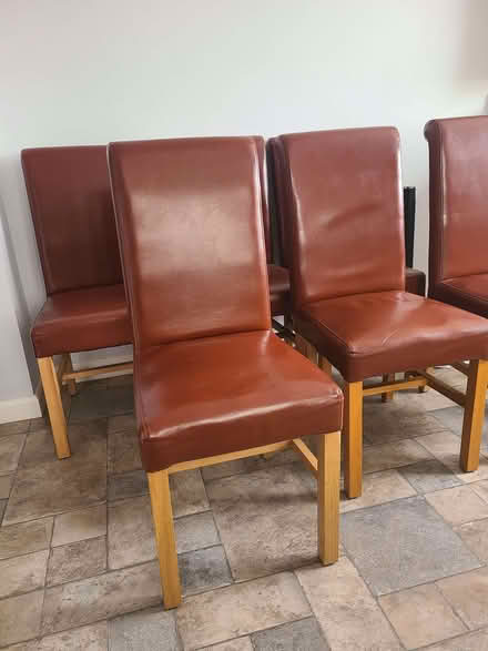 Photo of free 6 Dining Chairs (CT18) #2