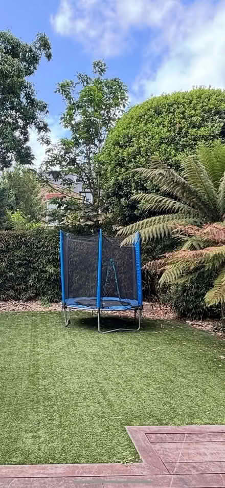 Photo of free Trampoline (SW18) #1