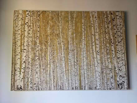 Photo of free Canvas large picture of birches (Rg456) #1
