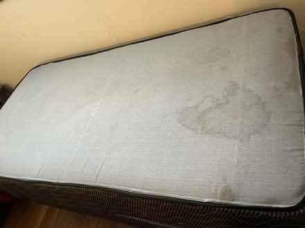 Photo of free Twin mattress, box spring, & frame (Lake & Hiawatha) #4