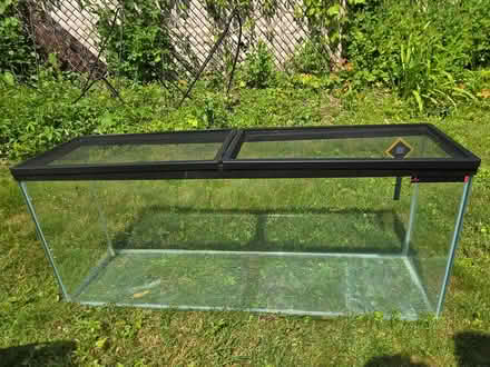 Photo of free large aquarium, reptile supplies (Natick, Ma) #3