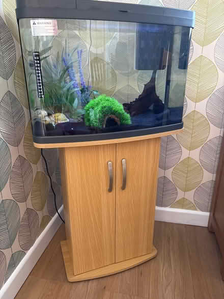 Photo of free Fish tank and cabinet (Gornhay Cross EX16) #1