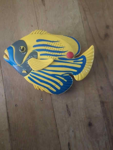 Photo of free Fish decoration (Hailsham BN27) #1