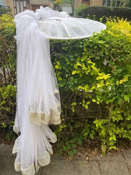 Photo of free Mosquito net (Widcombe) #1
