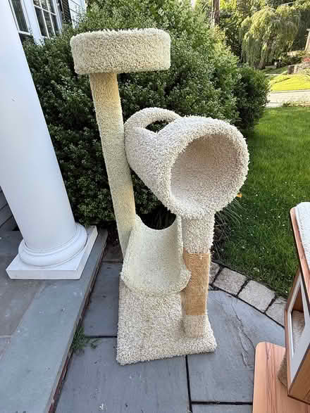 Photo of free Cat tree (large) (Belmont) #1