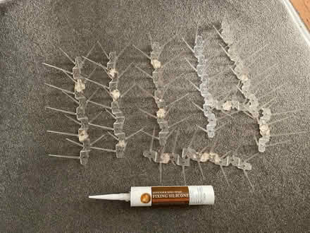 Photo of free Pigeon spikes (West Hill TN34) #1