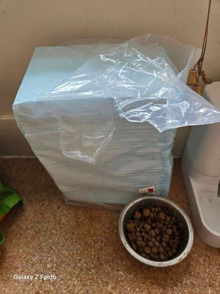 Photo of free 100 Puppy Training pads (south ealing W5) #1