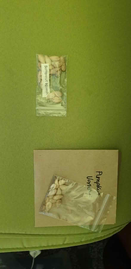 Photo of free Out of date Veg seeds for planting (Chorley PR6) #1