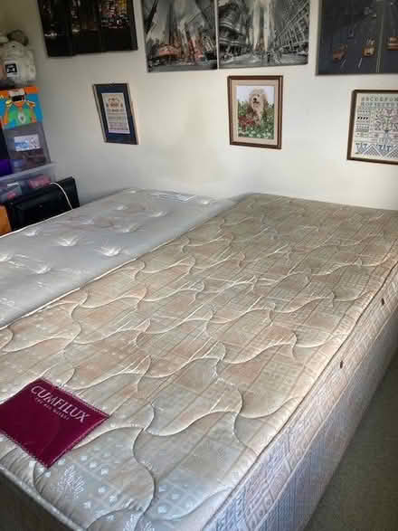Photo of free Single bed (Crackenthorpe CA16) #1