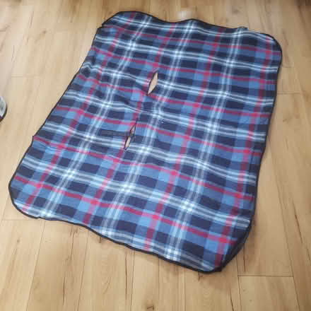 Photo of free Dog Car Blanket (Glenageary) #1