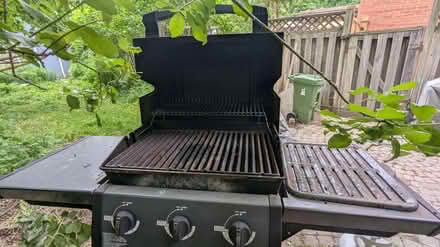 Photo of free BBQ (Weston) #3