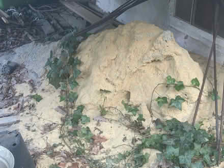 Photo of free Sand and rebar (College Park in backyard) #1