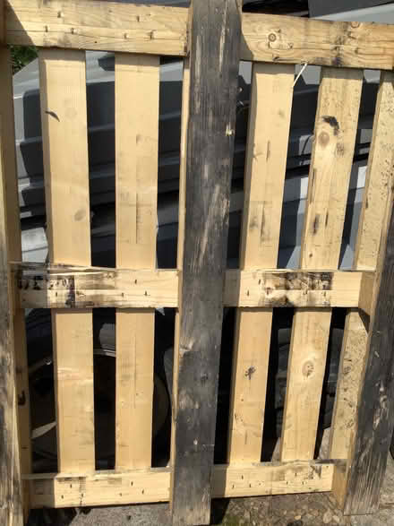 Photo of free Wooden pallet (Caton LA2) #1