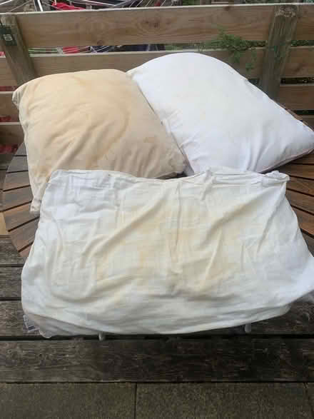 Photo of free 3 old pillows (Bowbridge GL5) #1