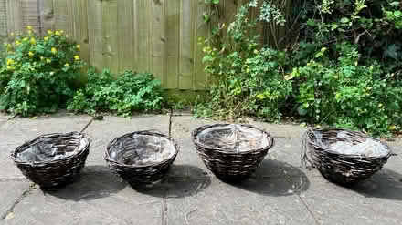 Photo of free Hanging baskets (CB1 (Petersfield) Mill Road) #1