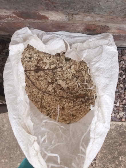 Photo of free Bag of saw dust (Crookesmoor S6) #2