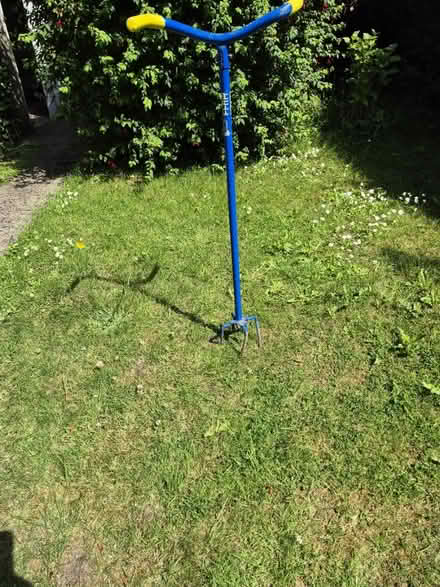 Photo of free Removes Weeds (Cabinteely) #1