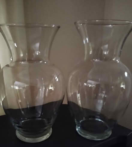 Photo of free Glass Vases (Livonia) #1