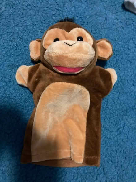 Photo of free jungle animal puppets (Spring Hill, Somerville) #4