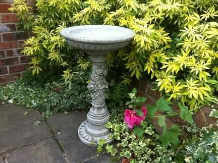Photo of Stone Features (Sherborne DT9) #2