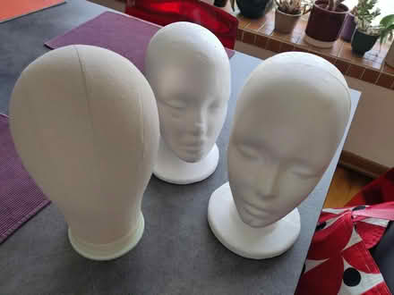 Photo of free Wig support heads (Claverton) #1