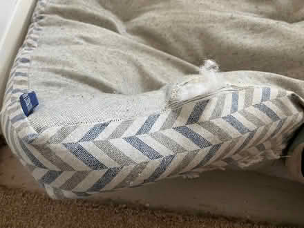 Photo of free Dog bed (Newport Pagnell, MK16) #2