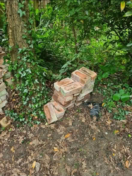 Photo of free Bricks (DA16) #1