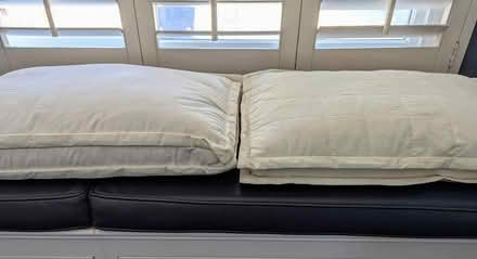Photo of free Pillows (Shoreline, Alameda) #2